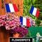 G128 50 Pack Handheld France French Stick Flags | 12x18 In | Printed 150D Polyester, Country Flag, Solid Wooden Stick, Spear Gold Tip